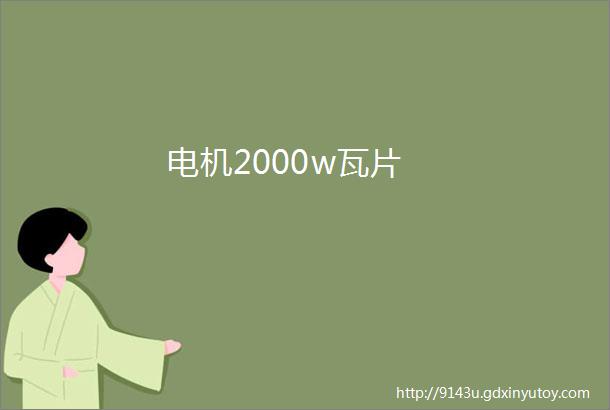 电机2000w瓦片