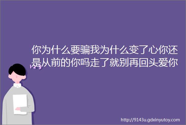 你为什么要骗我为什么变了心你还是从前的你吗走了就别再回头爱你有多深伤就有多痛